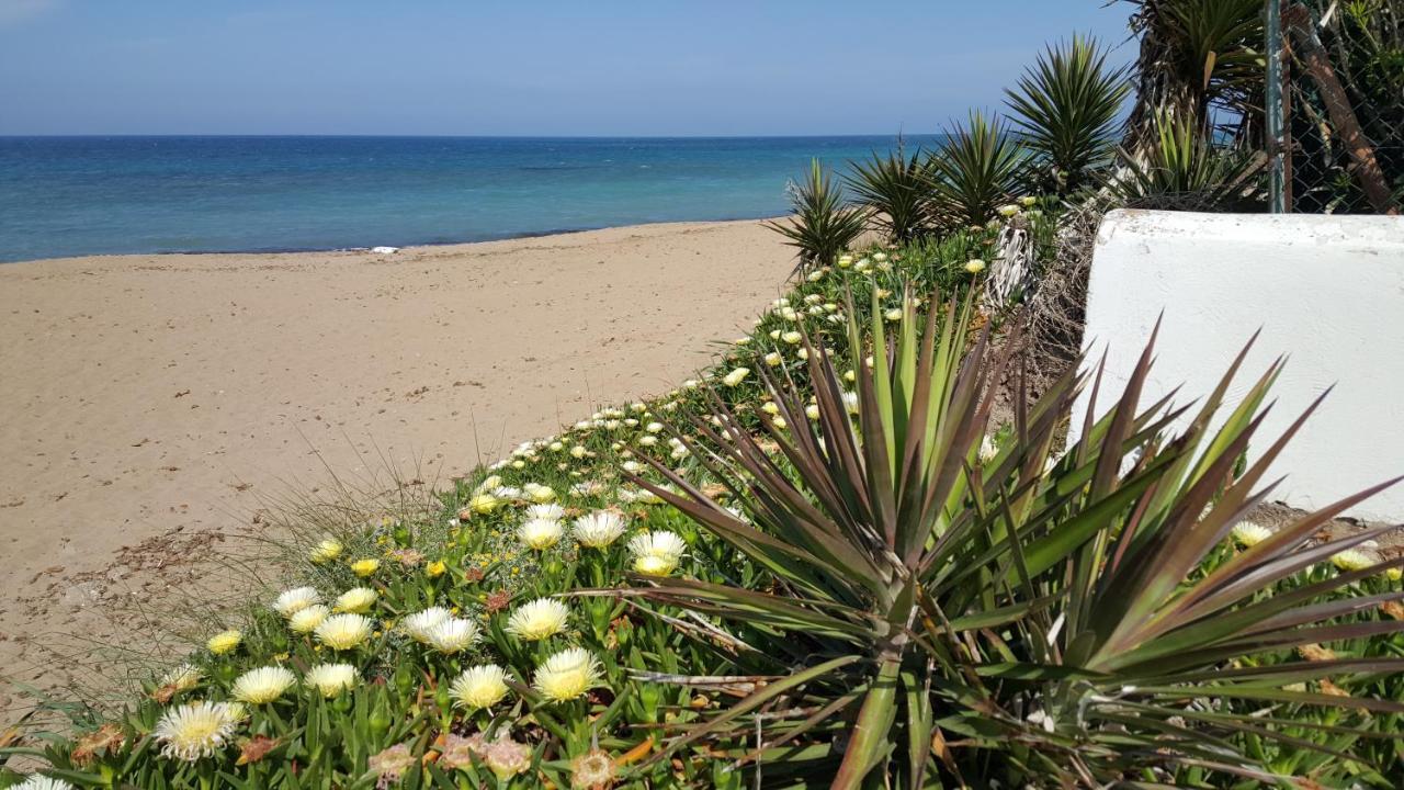 Camino Del Vasco Διαμέρισμα Denia Εξωτερικό φωτογραφία